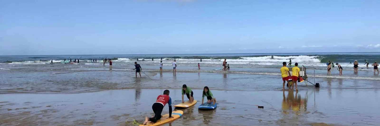 Surf