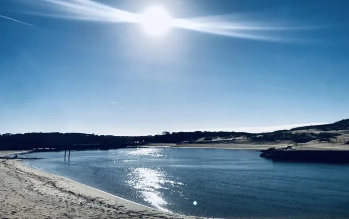 Marine lac Port d'Albret