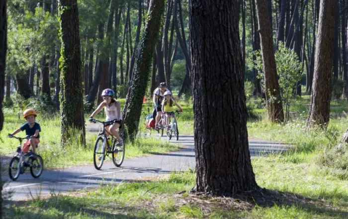 Vieux-Boucau Pistes cyclables dans la forêt